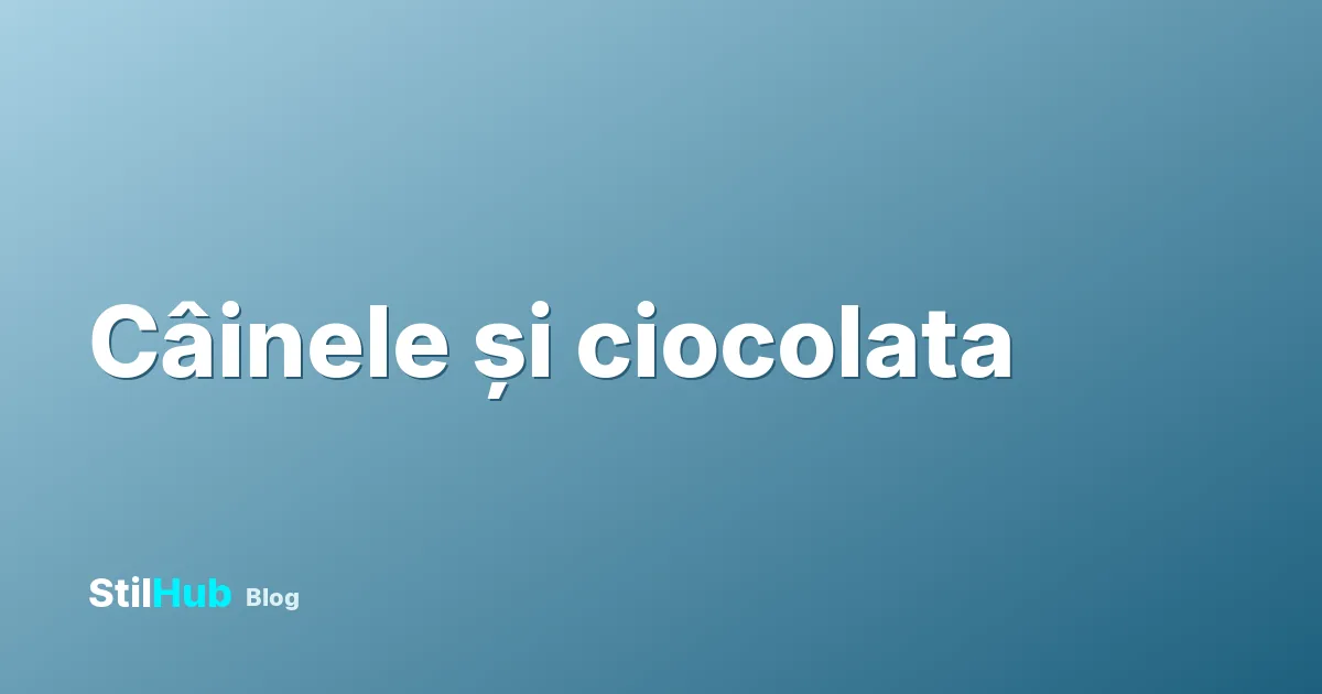 Câinele a mâncat ciocolată: ce faci imediat și când e urgență